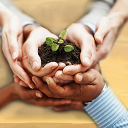 Making-A-Contribution-To-Society